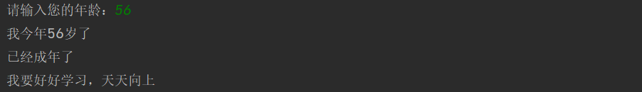 image-20240503152248940