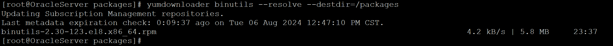 image-20240806140144461