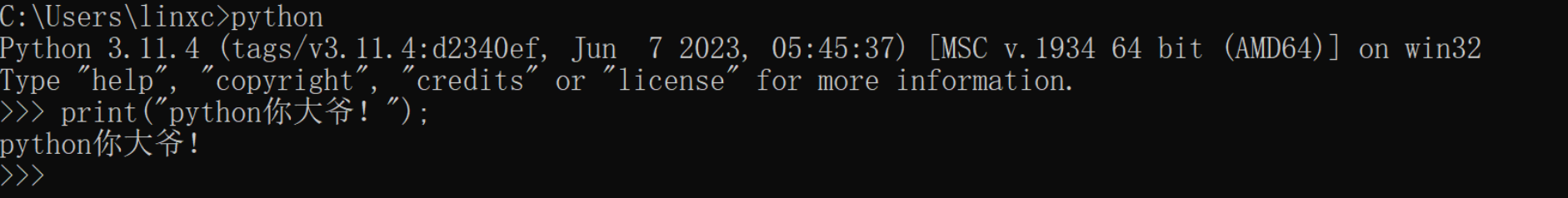 image-20240411172602866